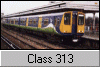 Class 313